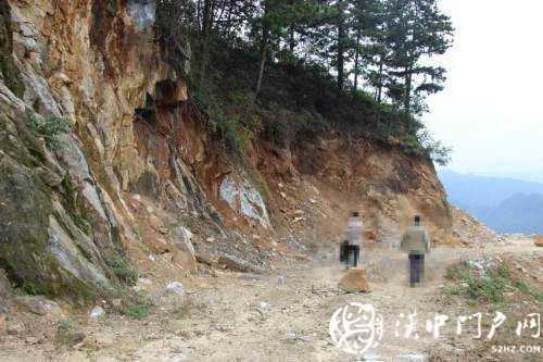 勉縣一處林地被破壞，緣何行政機關成為被告？