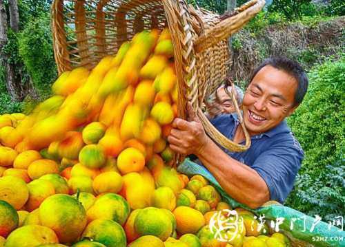 城固縣累計減貧71672人，101個貧困村退出