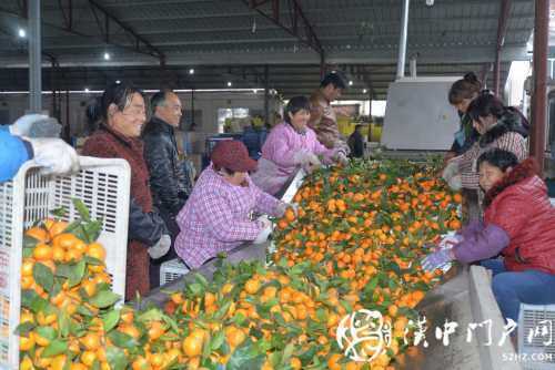 城固縣累計減貧71672人，101個貧困村退出