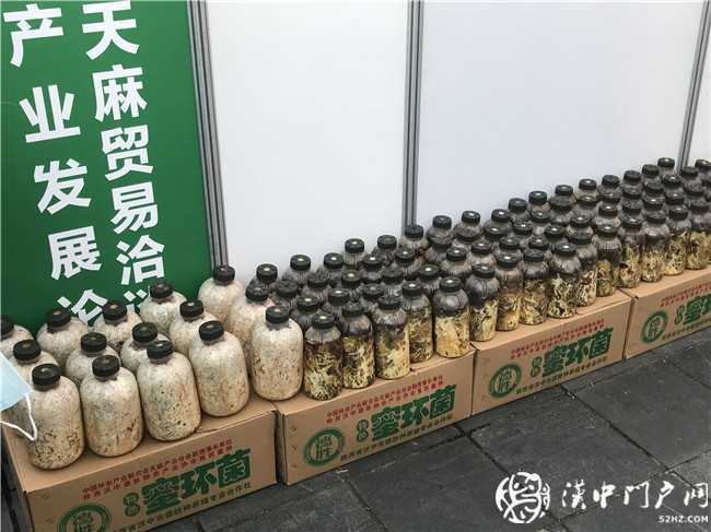 寧強(qiáng)縣第三屆天麻貿(mào)易洽談會暨天麻產(chǎn)業(yè)發(fā)展論壇今日開幕！