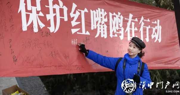 漢中環(huán)境越來越給力！過冬的候鳥年年漲！