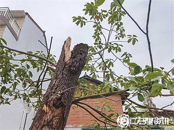 陜飛公司通勤車撞上騎電動(dòng)車上學(xué)母女倆，致兩人不幸身亡