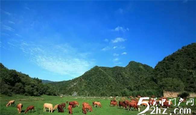 留壩開始全面探尋康養(yǎng)，旅居