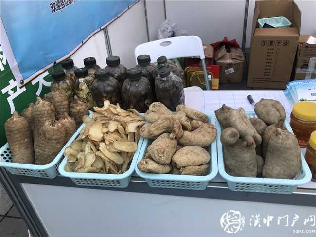 寧強(qiáng)縣第三屆天麻貿(mào)易洽談會暨天麻產(chǎn)業(yè)發(fā)展論壇今日開幕！