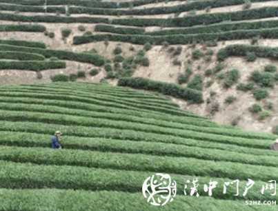漢中這家企業(yè)，首次躋身百?gòu)?qiáng)榜！