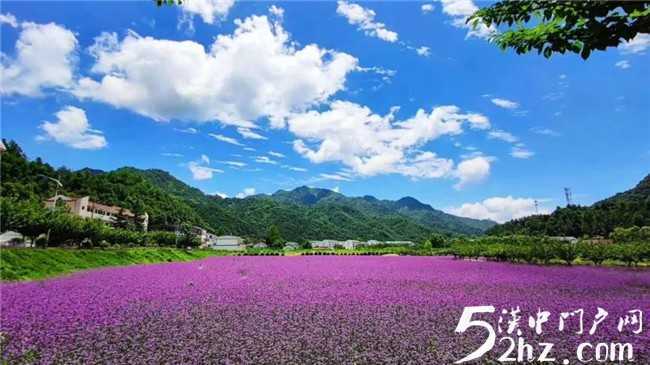 留壩開始全面探尋康養(yǎng)，旅居