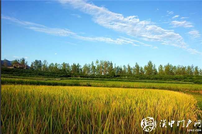 定格美好！想和你一起去找尋漢臺(tái)秋日里的小確幸~