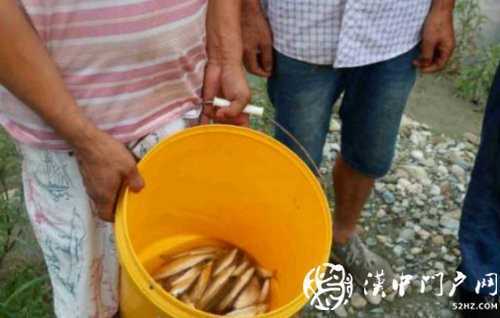 三人在河道非法電魚，被寧強(qiáng)民警抓個(gè)正著