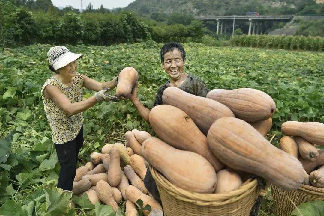 累計(jì)減貧78799人！看南鄭是怎么做到的...