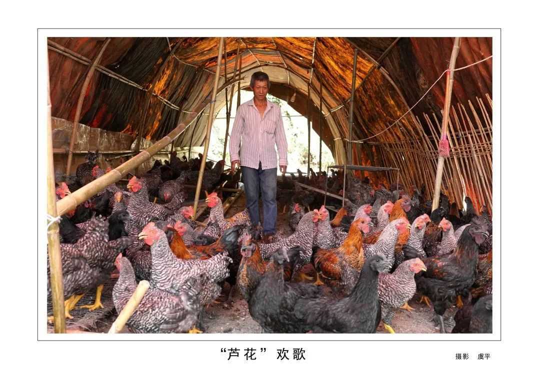 1175戶、34466人脫貧！漢臺區(qū)做了這些......"