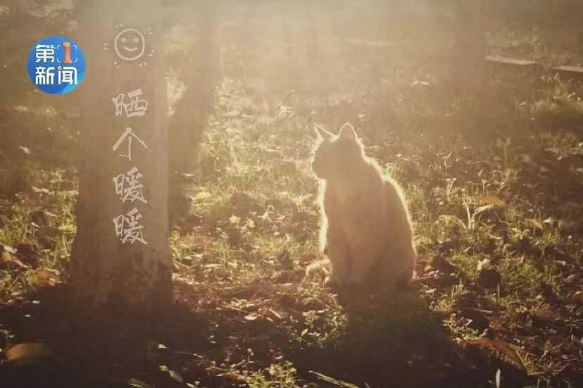 室內(nèi)溫度比室外高28℃！漢中別羨慕，市政集中供暖真的來了！