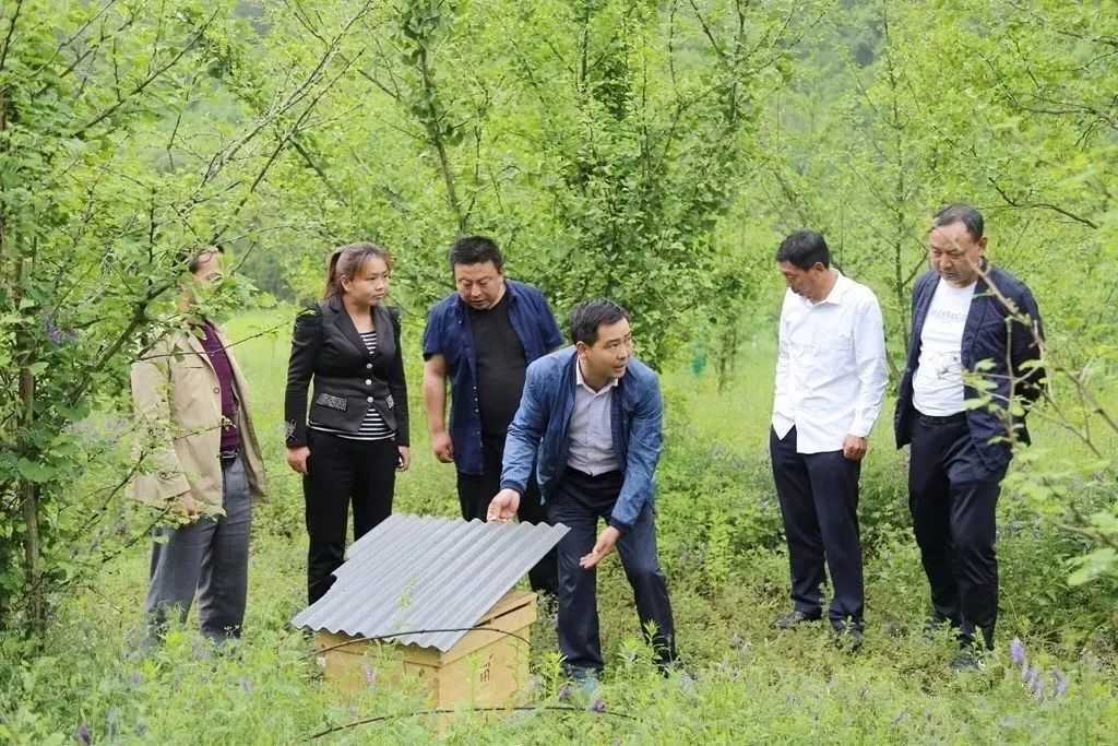 全市唯一，國(guó)家授牌