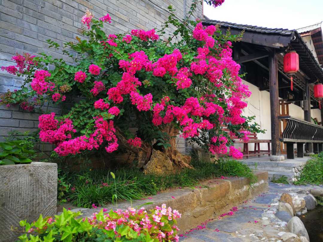 全市唯一，國(guó)家授牌