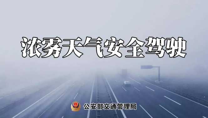 多地有大霧，安全駕駛提示速收好！ | 預(yù)警
