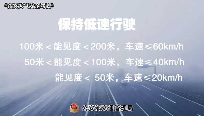 多地有大霧，安全駕駛提示速收好！ | 預(yù)警