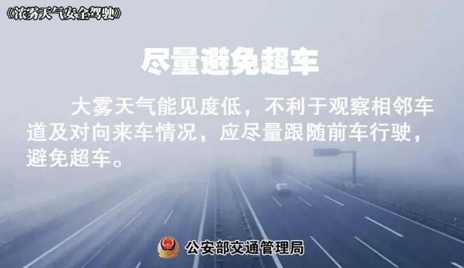 多地有大霧，安全駕駛提示速收好！ | 預(yù)警