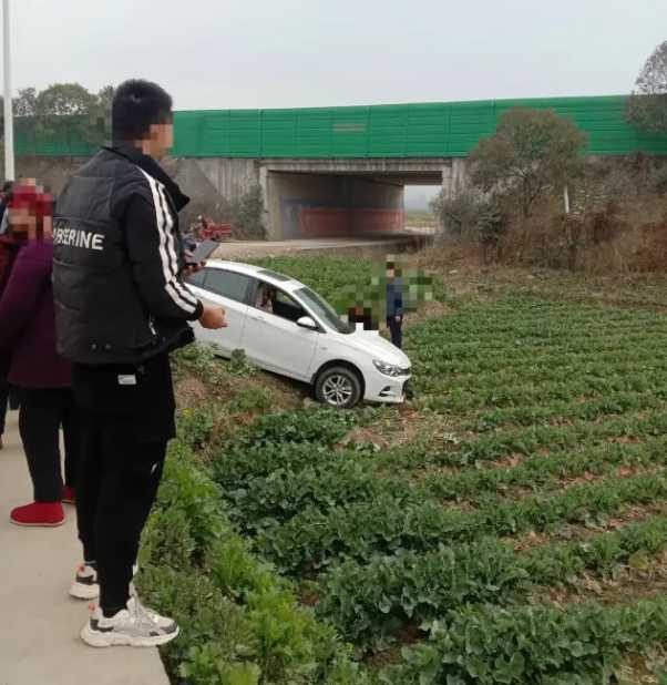 漢中一輛汽車開到油菜田里了！