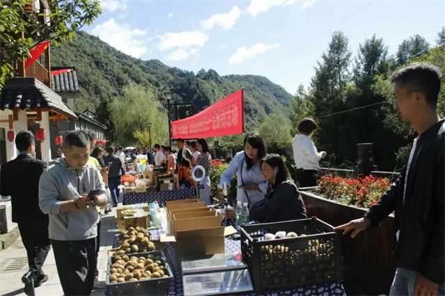 又是一年豐收時(shí)，留壩縣第四屆農(nóng)民豐收節(jié)今日正式開(kāi)幕！