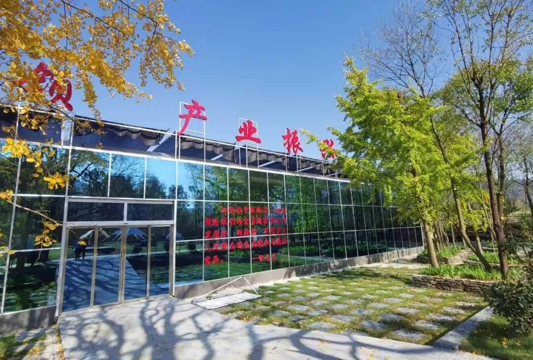 喜訊！漢中略陽徐家坪景區(qū)成功創(chuàng)建國家AAA級景區(qū)