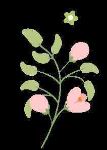 顏值滿(mǎn)分，漢中這里的薔薇花開(kāi)啦