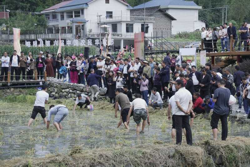 慶豐收，促和美 | 略陽縣第六屆中國農(nóng)民豐收節(jié)開幕