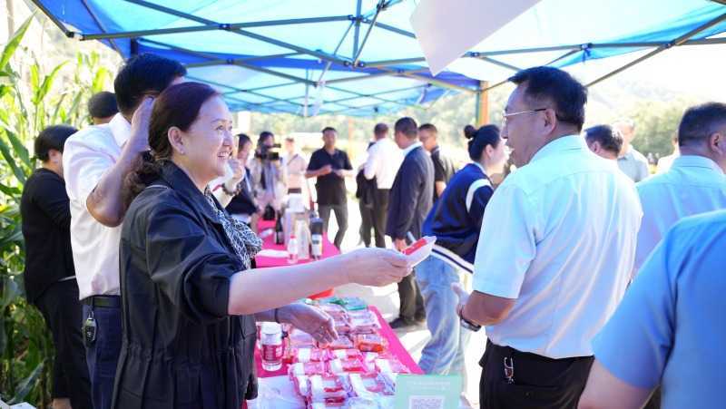 慶豐收，促和美 | 略陽縣第六屆中國農(nóng)民豐收節(jié)開幕
