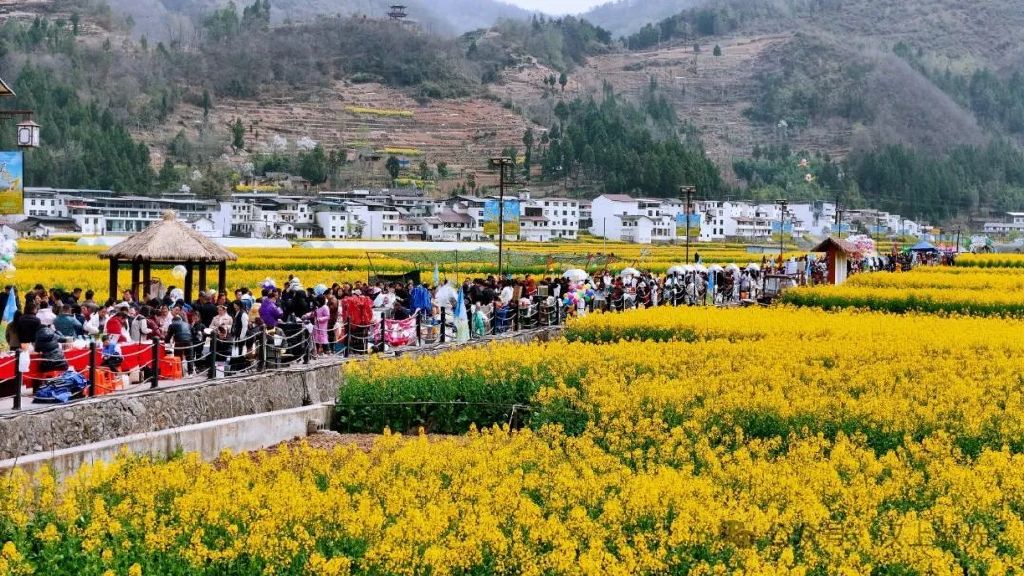 鎮(zhèn)巴春日盛宴旅游攻略，讓這個(gè)春天不留遺憾！