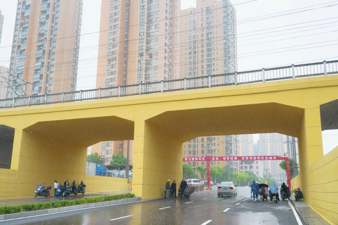 出行方便了！漢中興漢新區(qū)惠府路主車道通車！