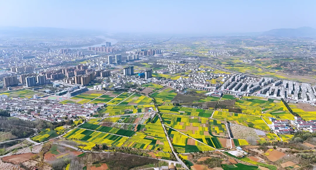 “鹮鄉(xiāng)花海 鏡遇春天” 市、縣新媒體聯(lián)動走進五彩洋州
