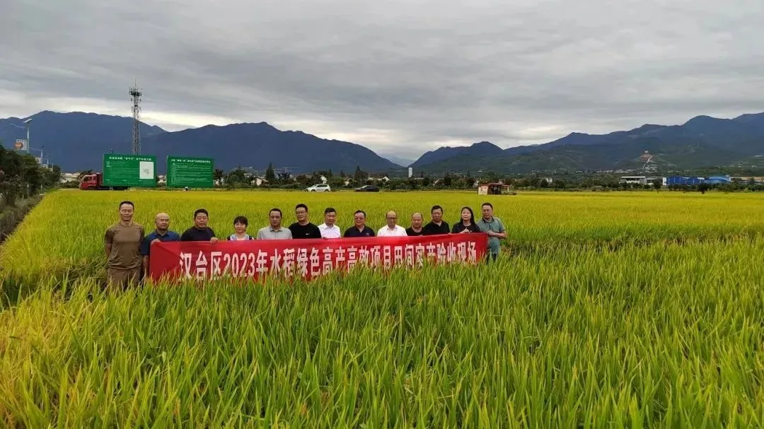 漢臺通過驗收！平均畝產(chǎn)747.3公斤
