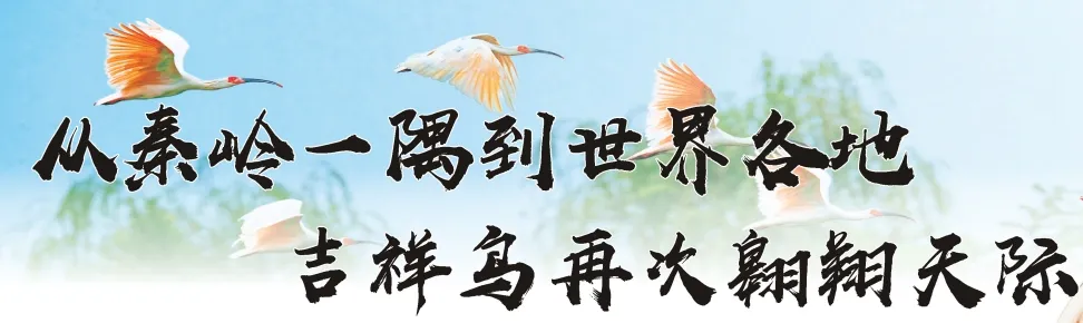 從秦嶺到世界！漢中創(chuàng)造生態(tài)奇跡！