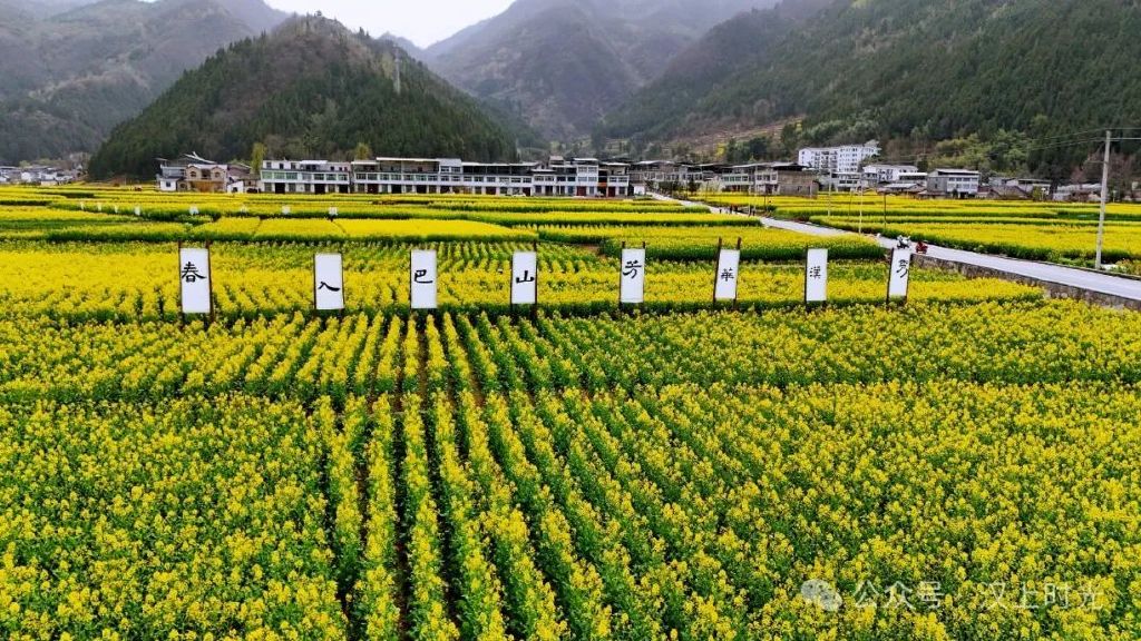 鎮(zhèn)巴春日盛宴旅游攻略，讓這個(gè)春天不留遺憾！