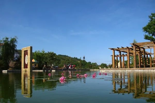 “櫻”你而來，“桃”你歡喜！西鄉(xiāng)櫻桃即將上市！