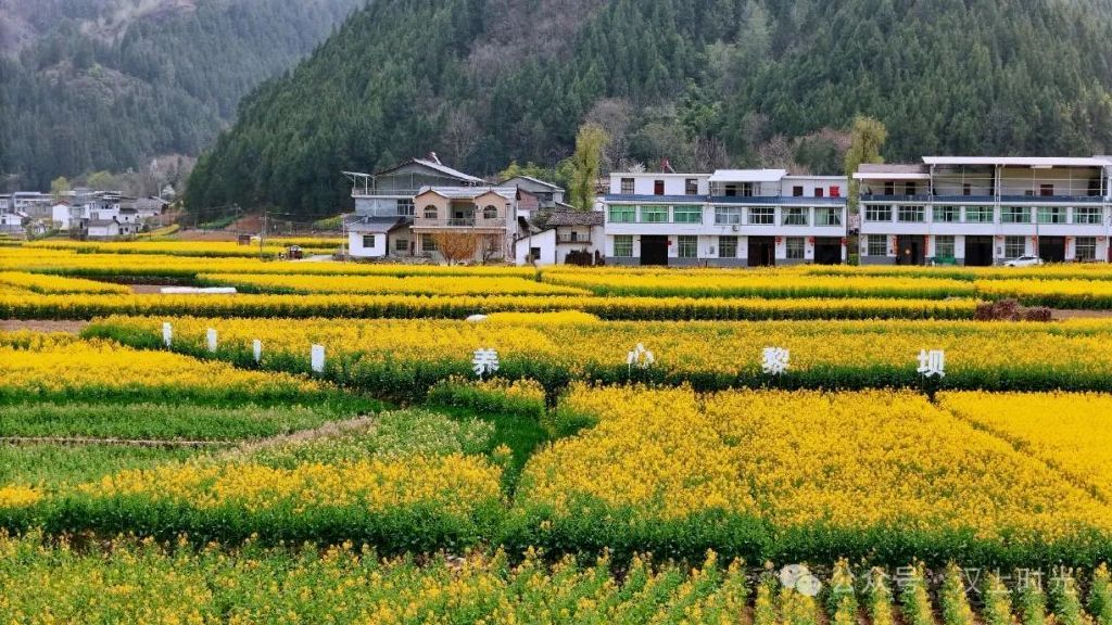 鎮(zhèn)巴春日盛宴旅游攻略，讓這個(gè)春天不留遺憾！