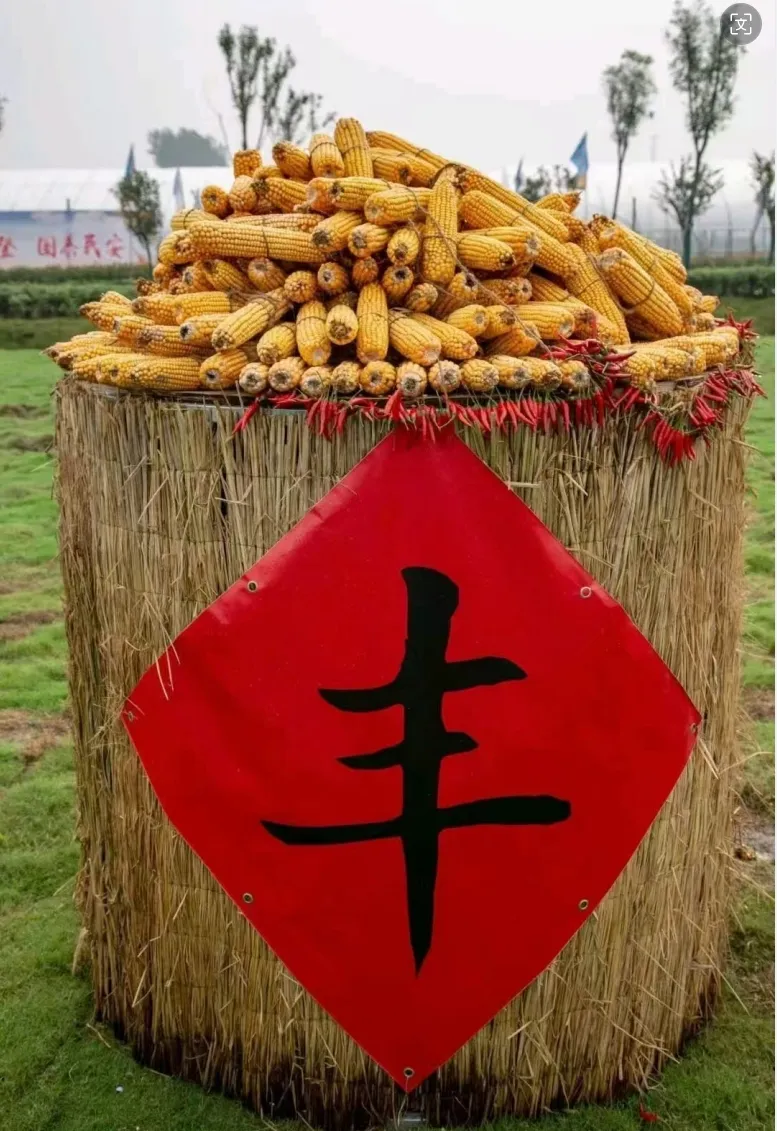 豐收了！豐收了！漢中熱鬧非凡→