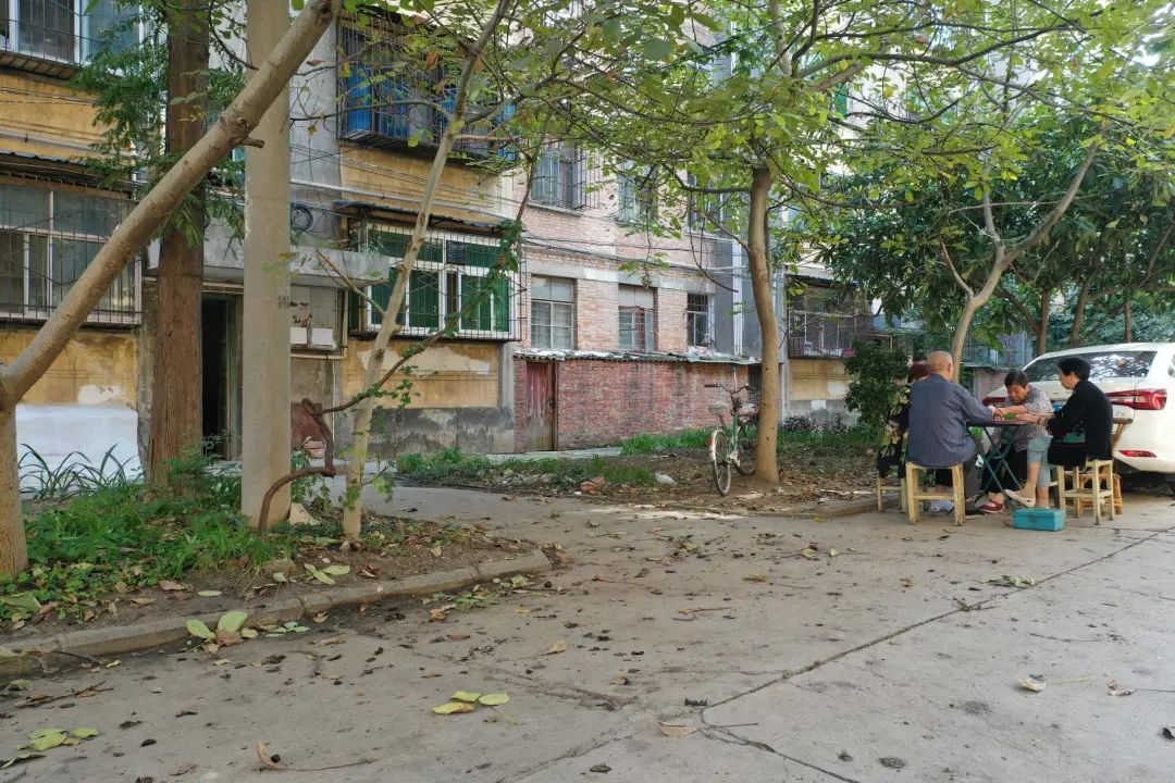 溫暖舊改！漢中老舊小區(qū)煥新顏！