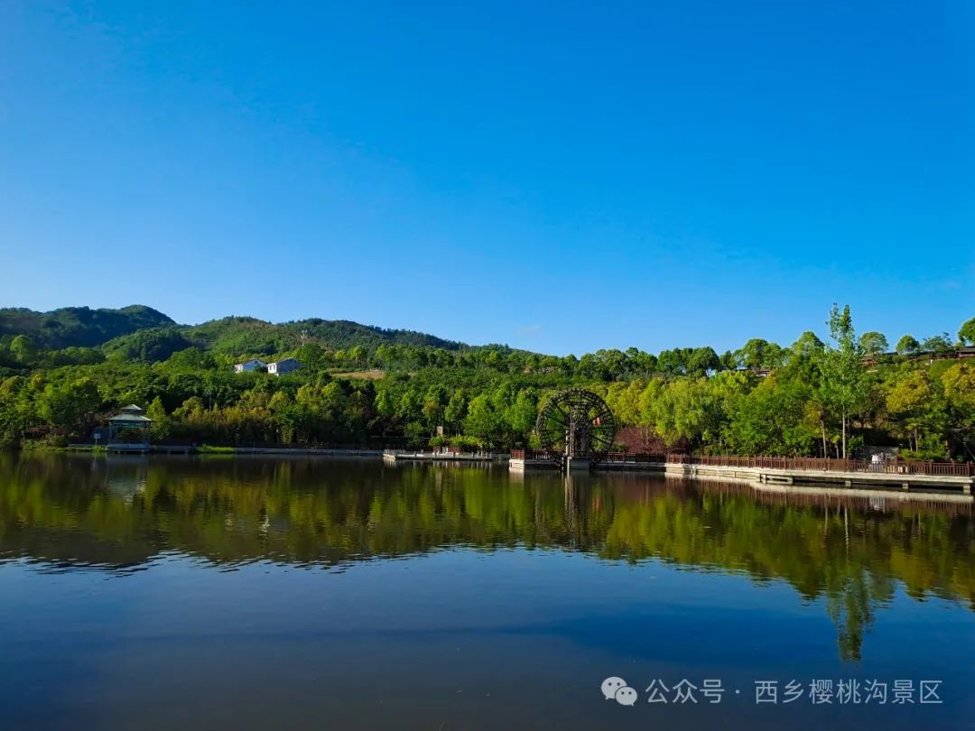 “櫻”你而來，“桃”你歡喜！西鄉(xiāng)櫻桃即將上市！