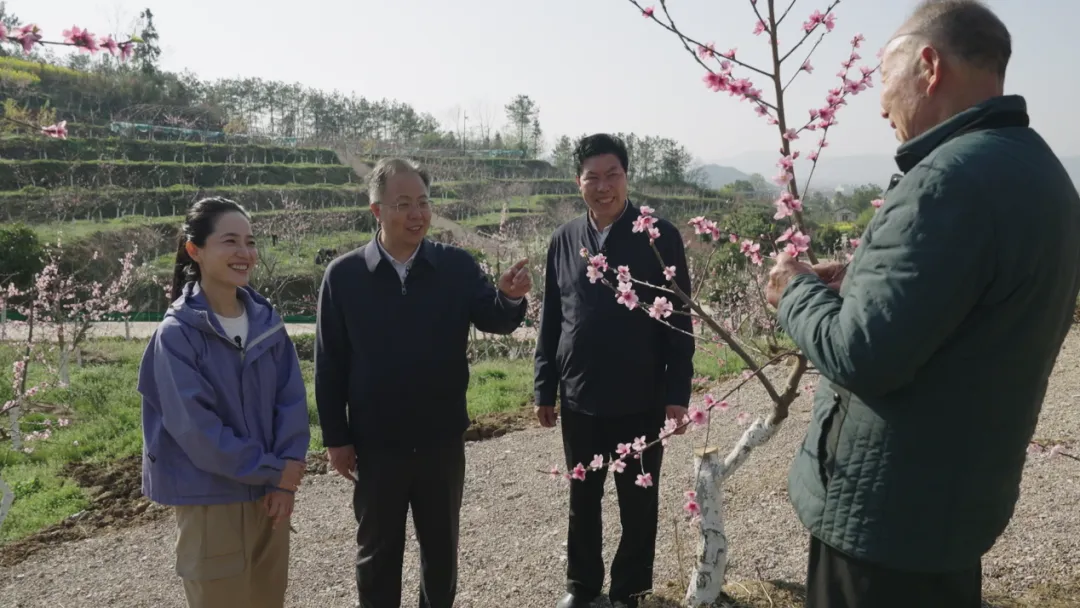 央視財(cái)經(jīng)關(guān)注！看漢中如何探索鄉(xiāng)村振興之路→