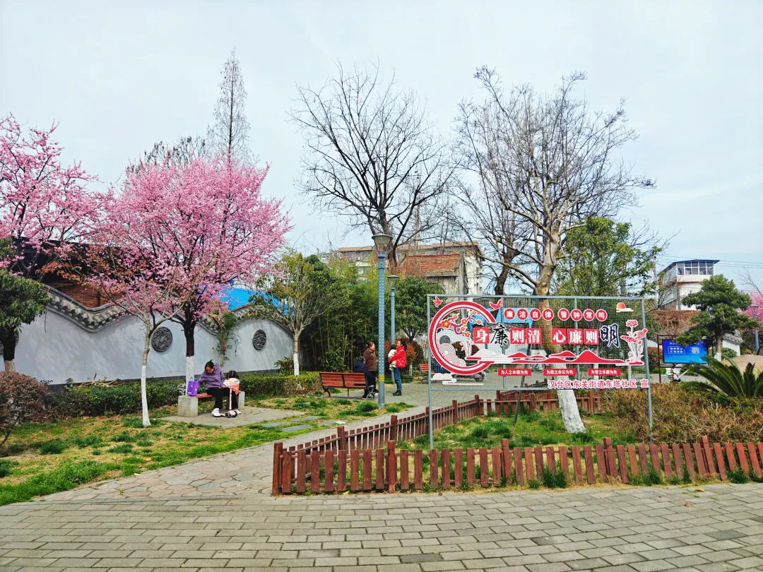 口袋公園：靚了城市，美了生活，暖了人心