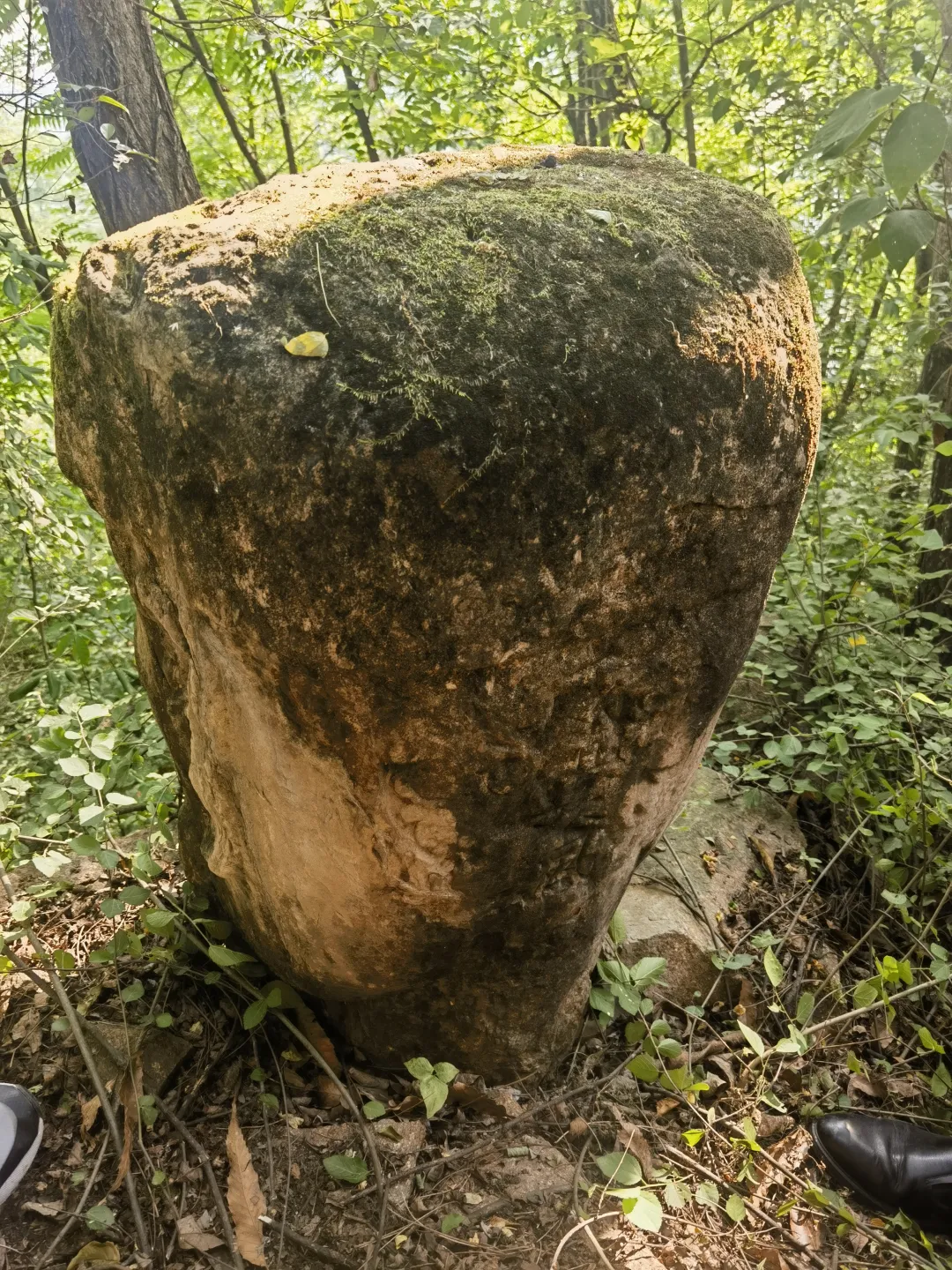 西鄉(xiāng)發(fā)現(xiàn)一尊疑似宋金時期石刻頭像