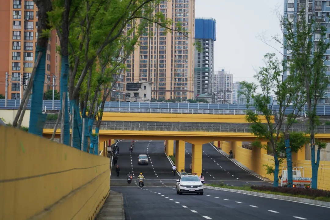 出行方便了！漢中興漢新區(qū)惠府路主車道通車！