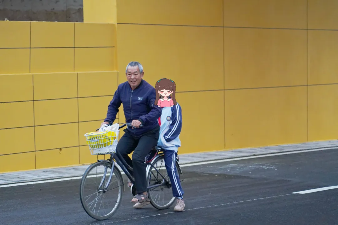 出行方便了！漢中興漢新區(qū)惠府路主車道通車！