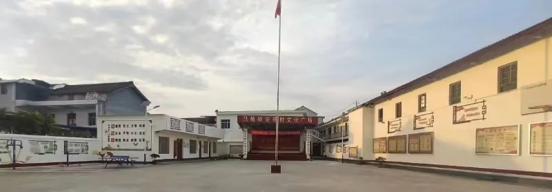 漢中“巾幗美家”示范村來啦，快看有沒有你們村~