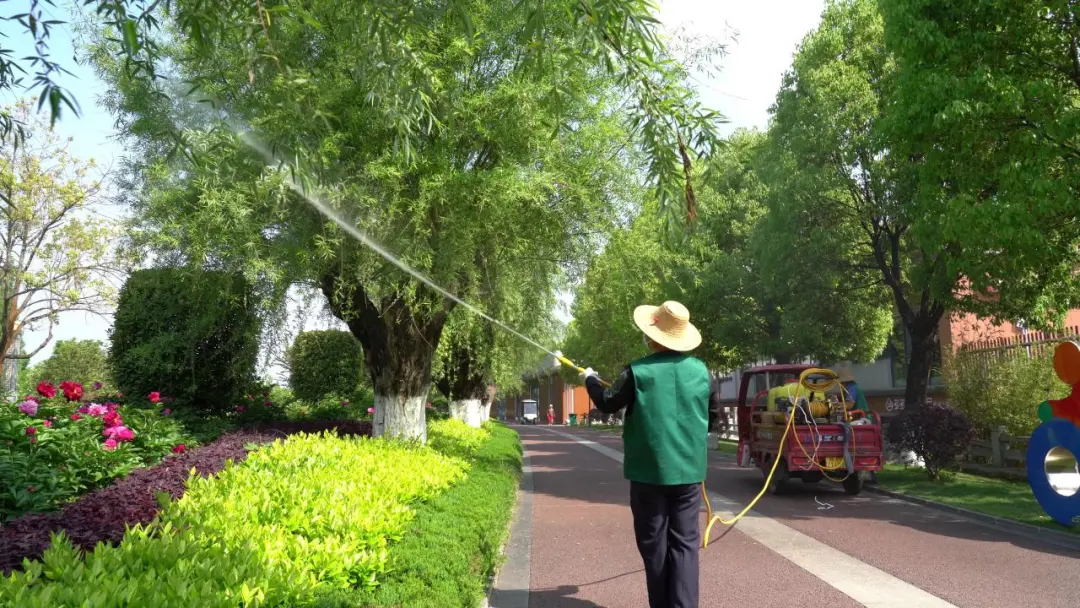 漢中毛?毛?毛?毛……明顯減輕！原因在這里→