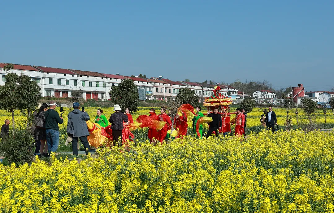 “鹮鄉(xiāng)花海 鏡遇春天” 市、縣新媒體聯(lián)動走進五彩洋州