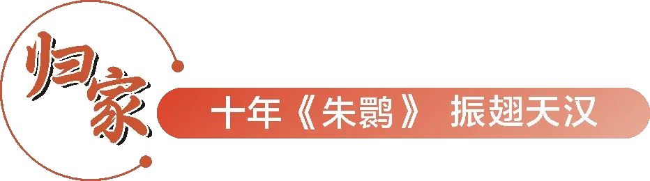 從秦嶺到世界！漢中創(chuàng)造生態(tài)奇跡！