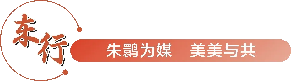 從秦嶺到世界！漢中創(chuàng)造生態(tài)奇跡！
