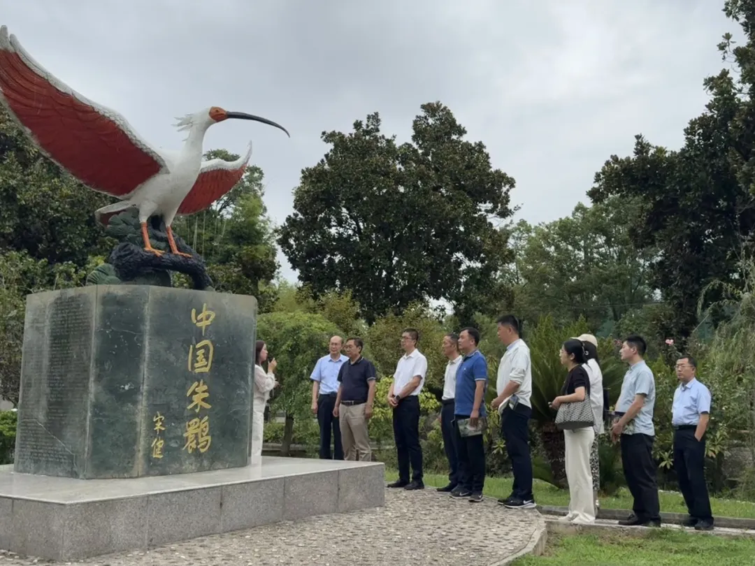 中省媒體聚焦?jié)h中新型工業(yè)！傳統(tǒng)行業(yè)煥發(fā)新生→