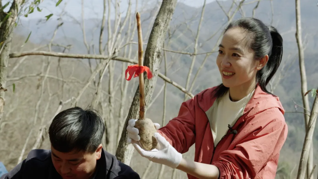 央視財(cái)經(jīng)關(guān)注！看漢中如何探索鄉(xiāng)村振興之路→